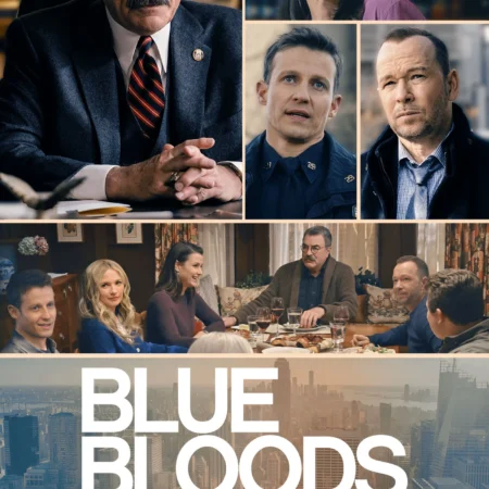 Blue Bloods Season 13